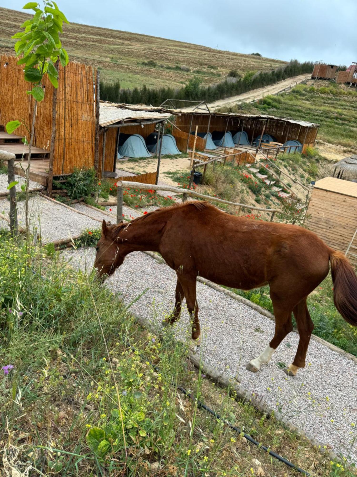 Ghar El Melh Outdoors Ξενοδοχείο Ra's al Jabal Εξωτερικό φωτογραφία